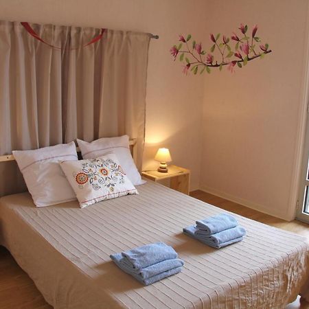 Au Lion D'Or Apartment Le Puy-en-Velay Bagian luar foto