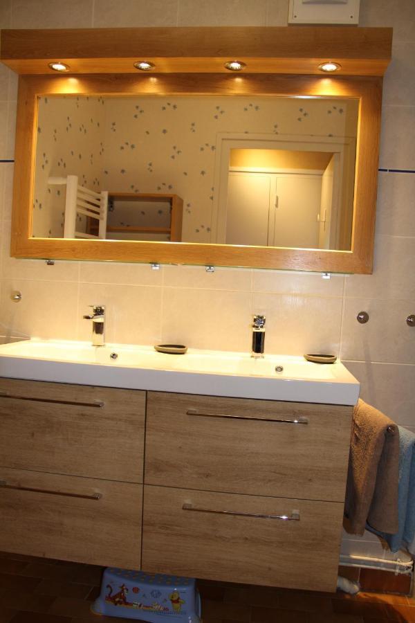 Au Lion D'Or Apartment Le Puy-en-Velay Bagian luar foto