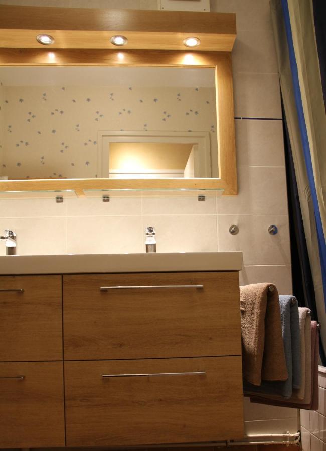 Au Lion D'Or Apartment Le Puy-en-Velay Bagian luar foto